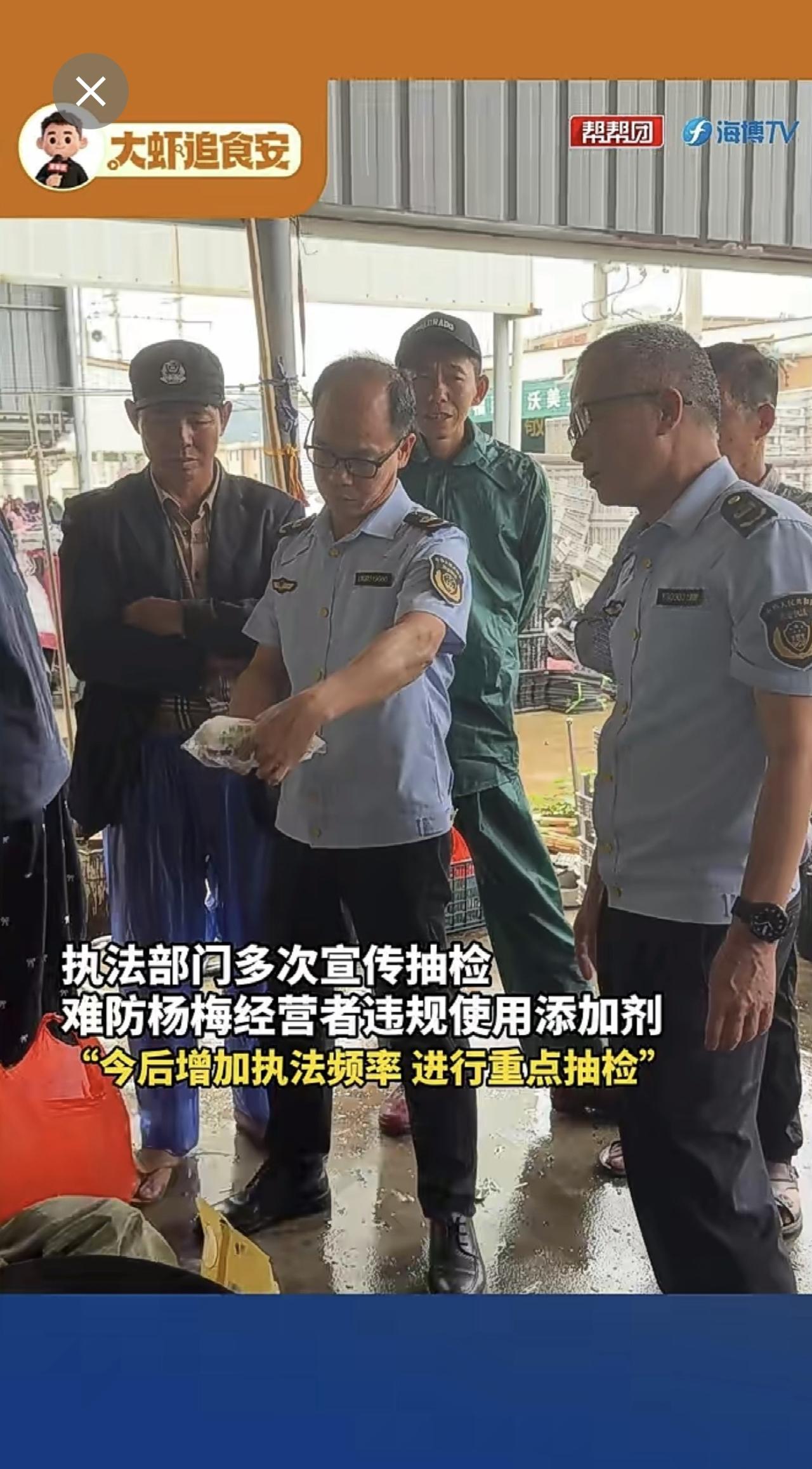记者暗访十多家杨梅收购点，多数使用添加剂，执法人员：多次宣传和检查，走后又添加：