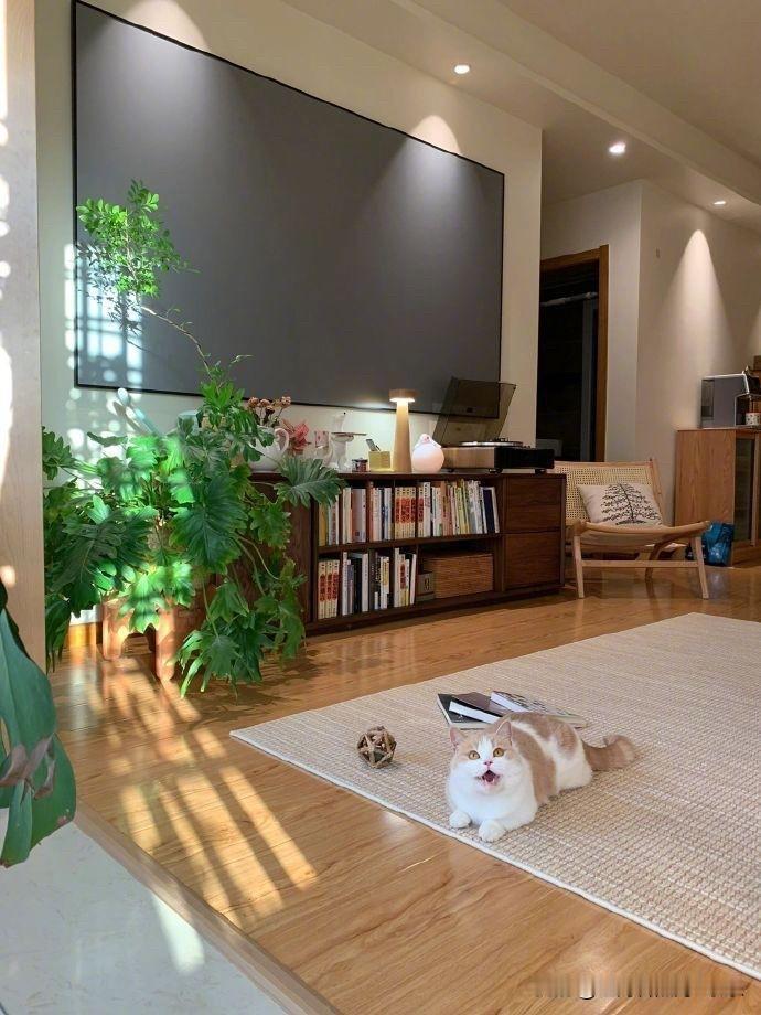 长春楼市这个小阳春也还是没能把房价涨起来，整体来说还是在那下跌的。长春楼市在2