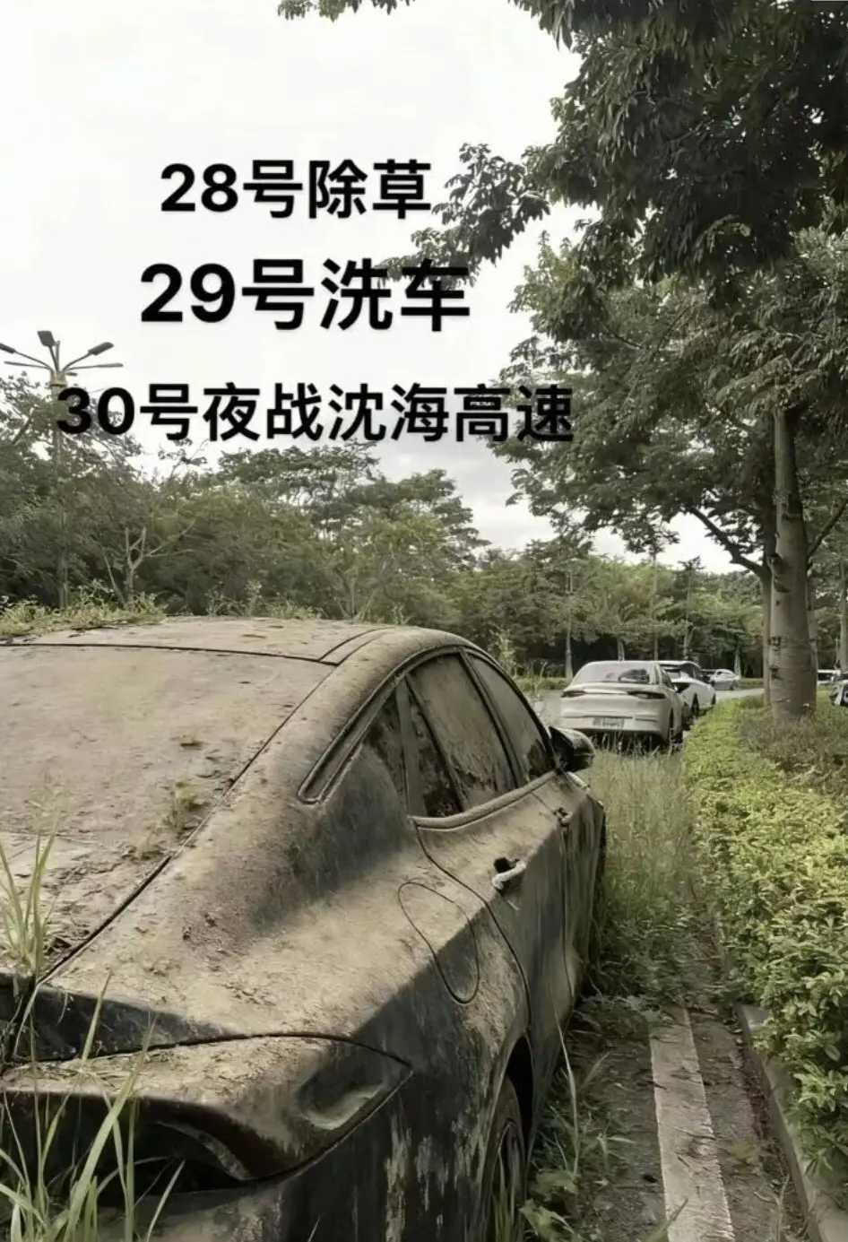 28号除草，29号洗车，30号夜战沈海高速！今天早上开车外出时，意外的发