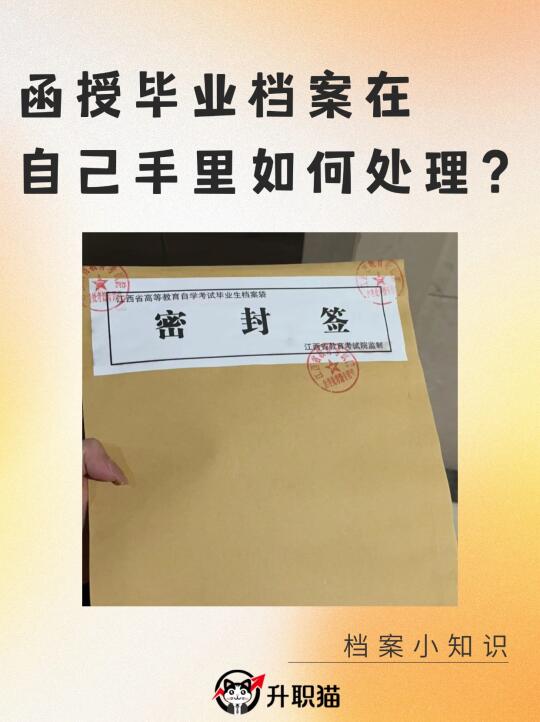 函授毕业档案在自己手里如何处理？🧐