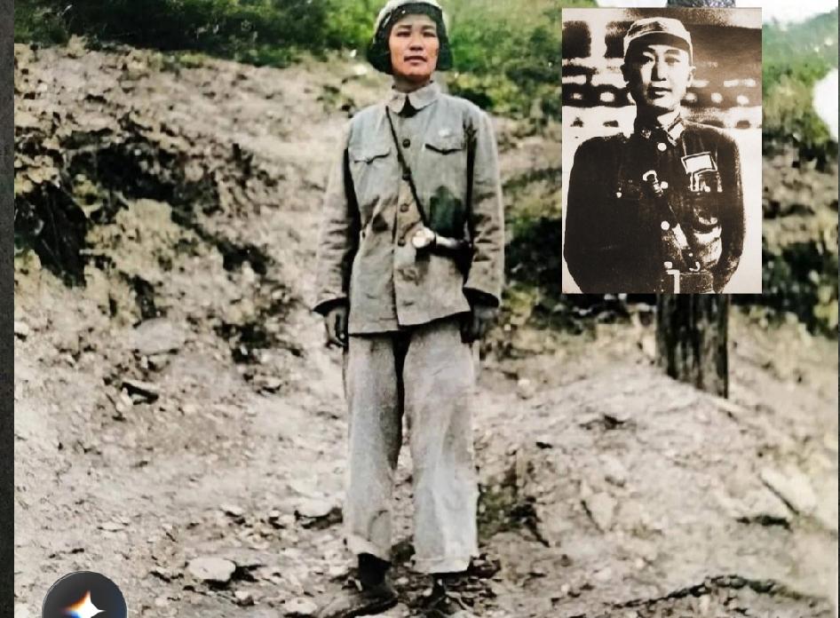 1949年国民党撤退的时候，曾经邀请戴安澜的夫人王荷馨，带着全家去台湾。但
