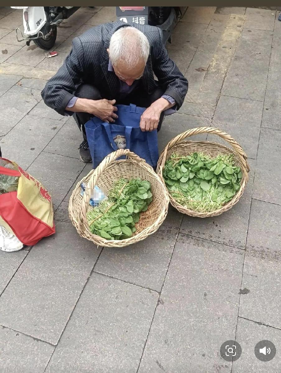 今天在菜市场转的时候，看到角落里蹲了个大爷，正摆着一筐自个儿种的青菜。叶子绿油油