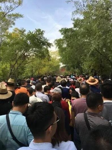 这种天气出门旅游真的都是傻子吗？现在最高温度基本上快到了40度。在家待着什么都不