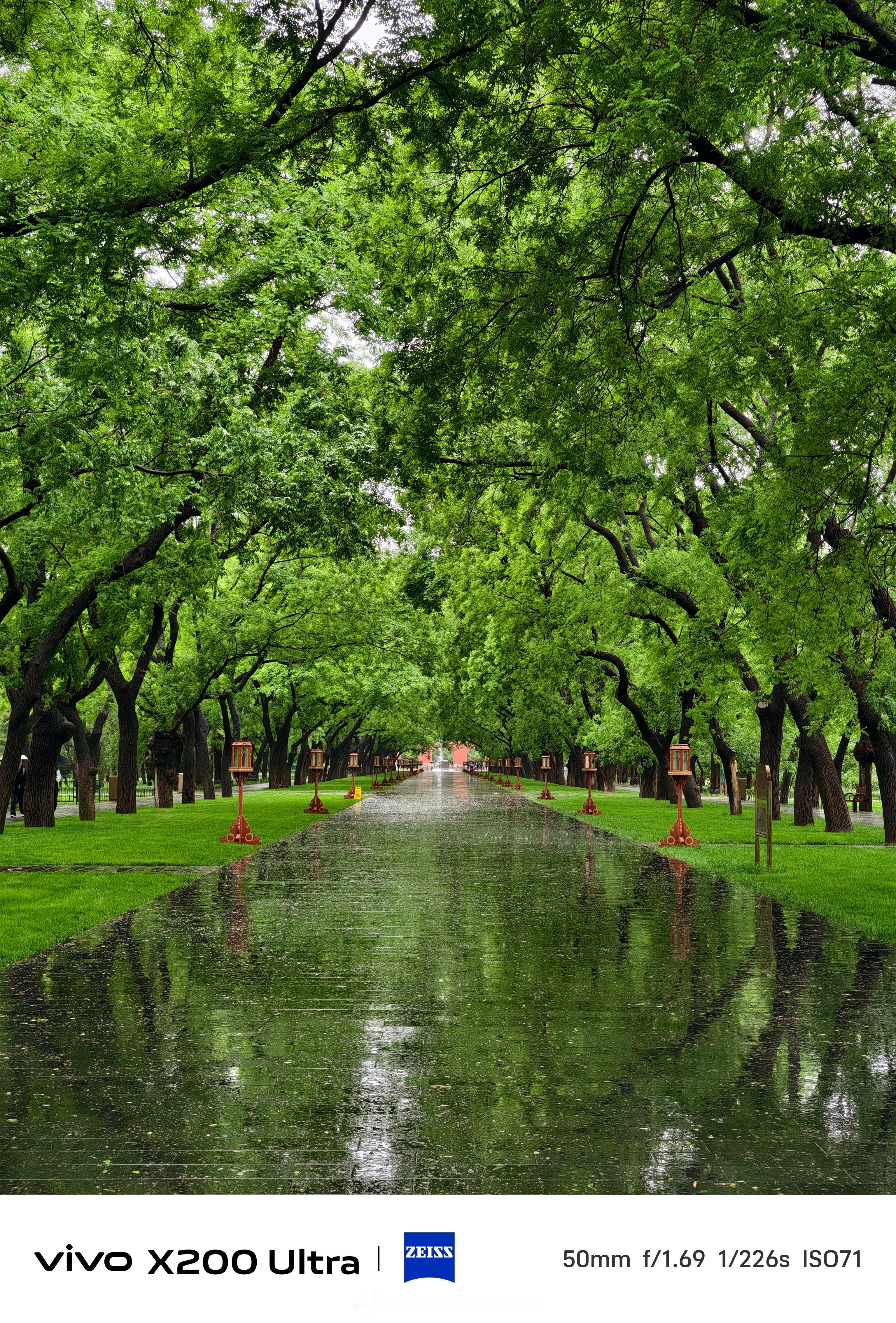 雨润天坛，2025.5.9摄影​​​