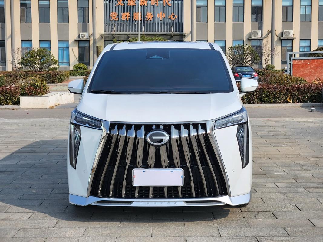 2025国产MVP销量排行：1. 魏牌高山：销量7768辆，夺得榜首。​