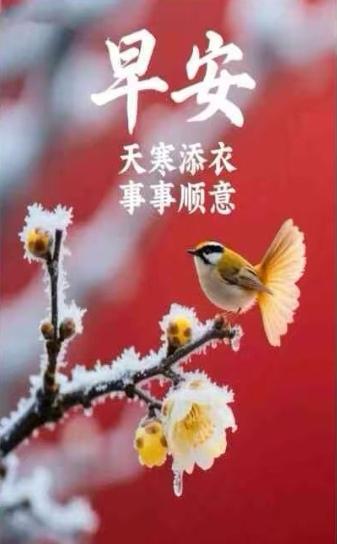 健康就是強者，快樂就是贏家，平安就是福氣，幸福就是完美，願與我們同在。