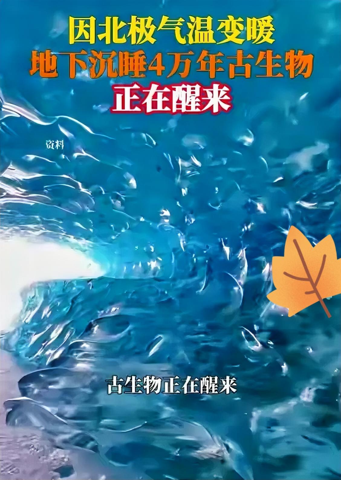 北极冻土藏不住了？4万年的“老住户”醒了！10月20日，参考消息曝出个真事