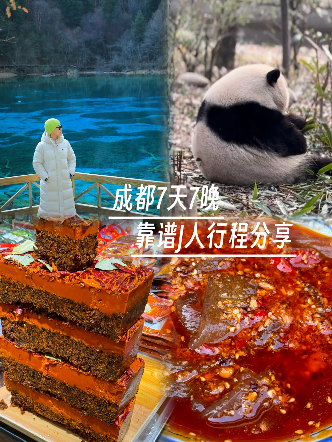 成都7天7晚 靠谱J人｜附1.1W具体花销
