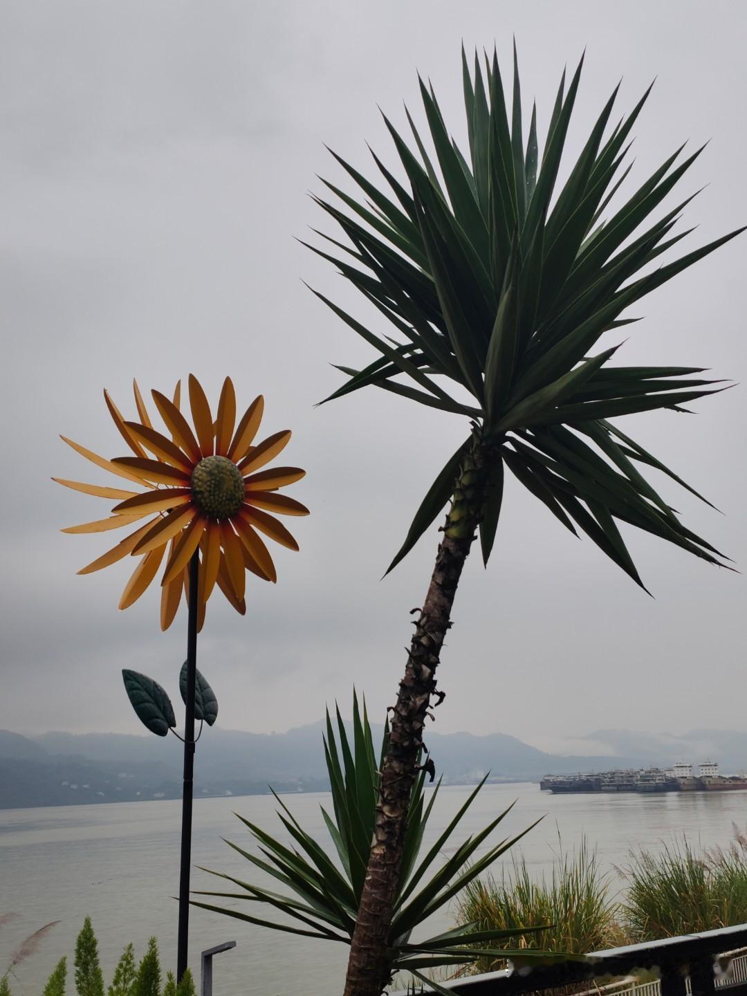 人的一生最大的财富是什么?有人说人的一生最大的财富是智慧，我觉得有一定道理。智