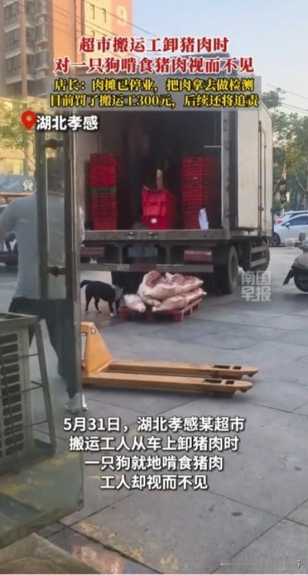 搬运工视而不见