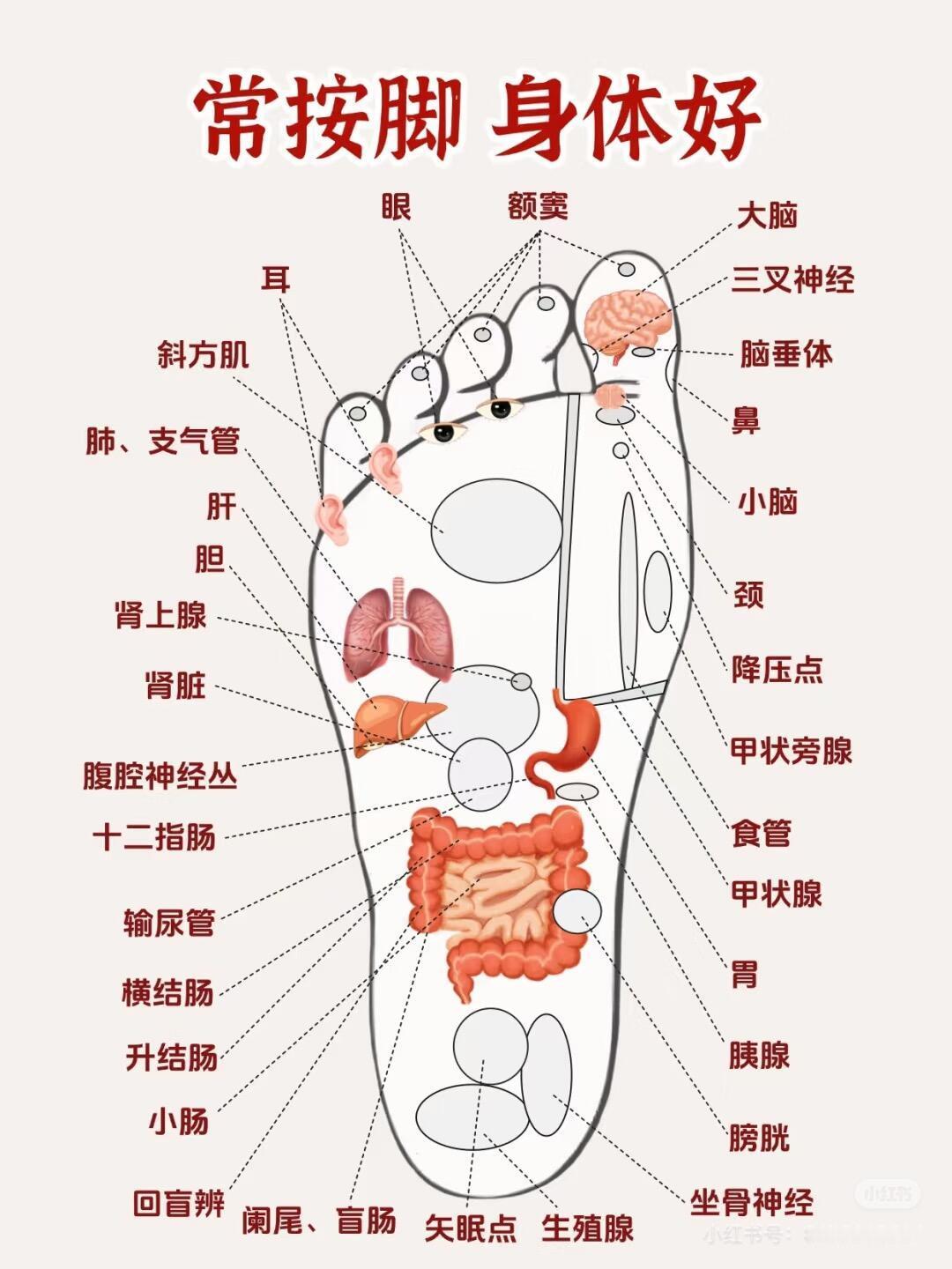 身体那里不舒服，就对着脚按一按健闻登顶计划​​​