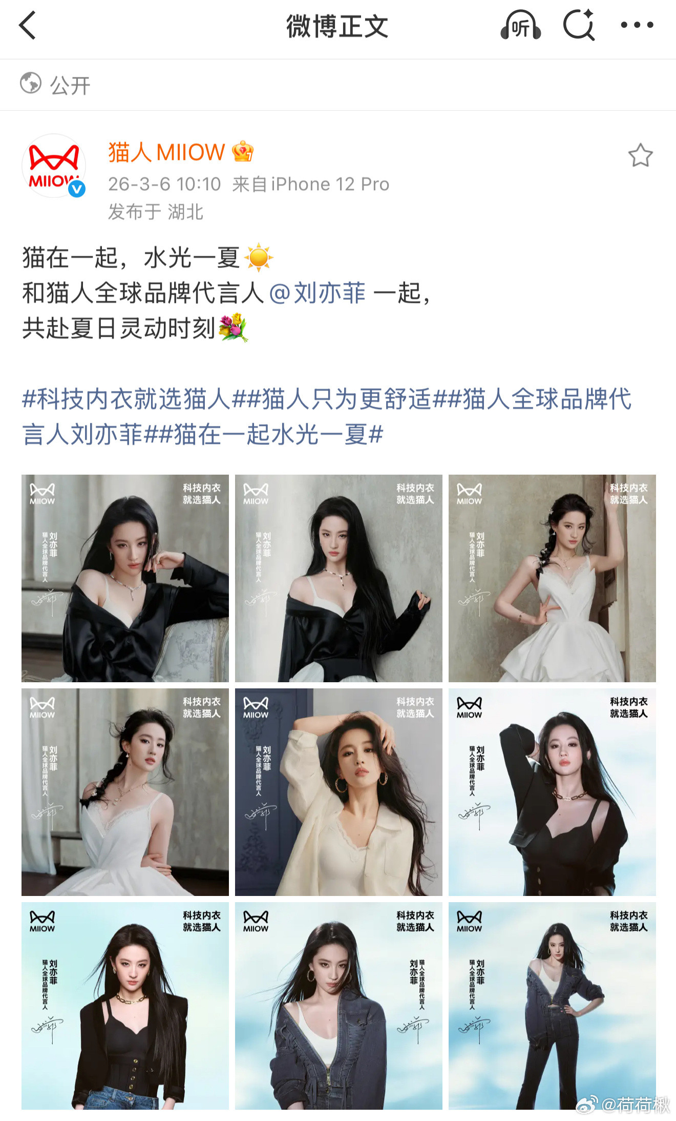 俺不中了宝格丽怎么哪哪儿都有你猫人也是美美升咖了