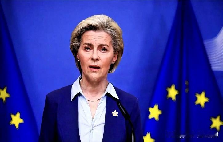 当着冯德莱恩的面，这个问题让全场鸦雀无声欧盟委员会主席冯德莱恩参会时，台下