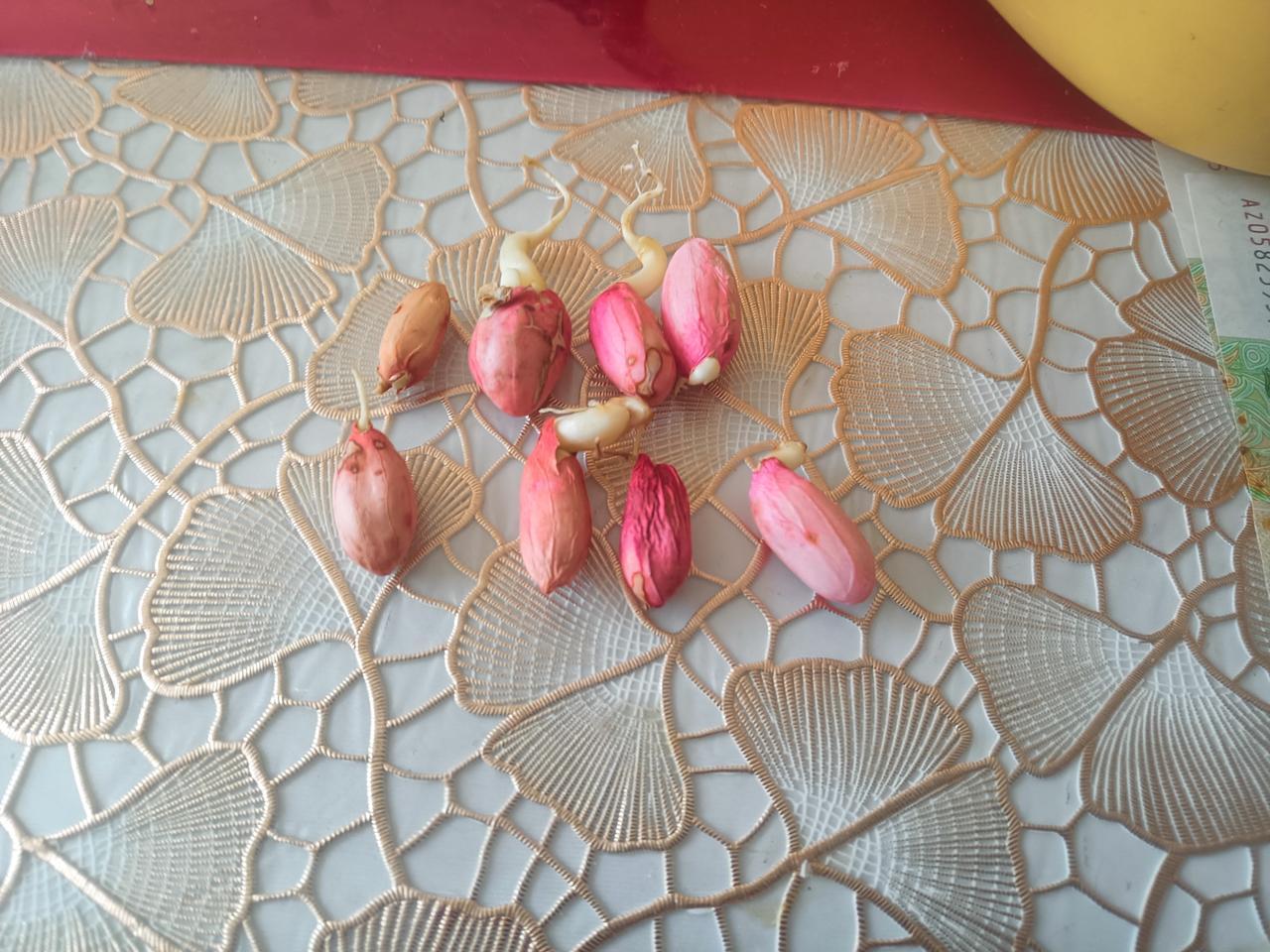 早晨去遛弯，看到早市上卖鲜花生的，个头大的十块钱四斤，个头小的十块钱三斤。看见许