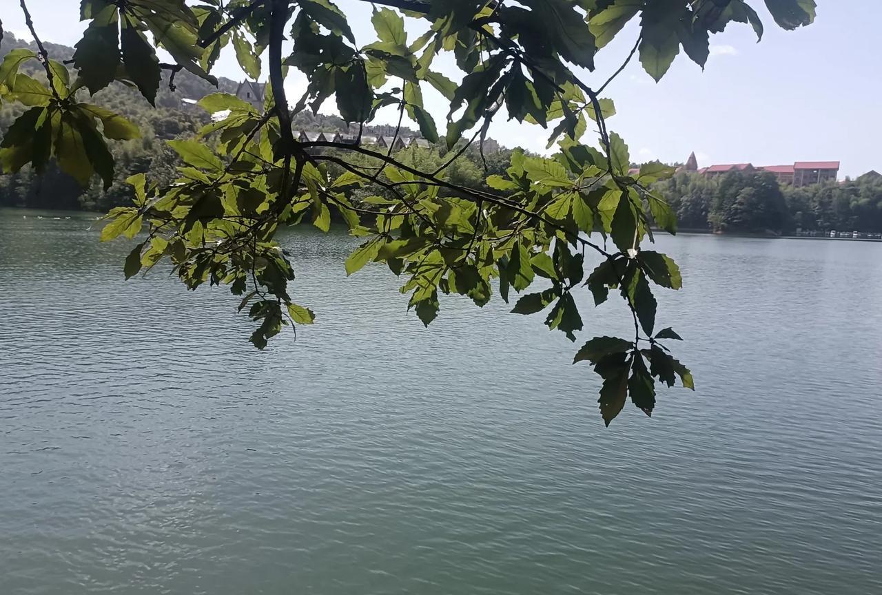 川渝地区的避暑经济，被贵州人赚安逸了。每年天一热，暑假一开始，川渝地区的