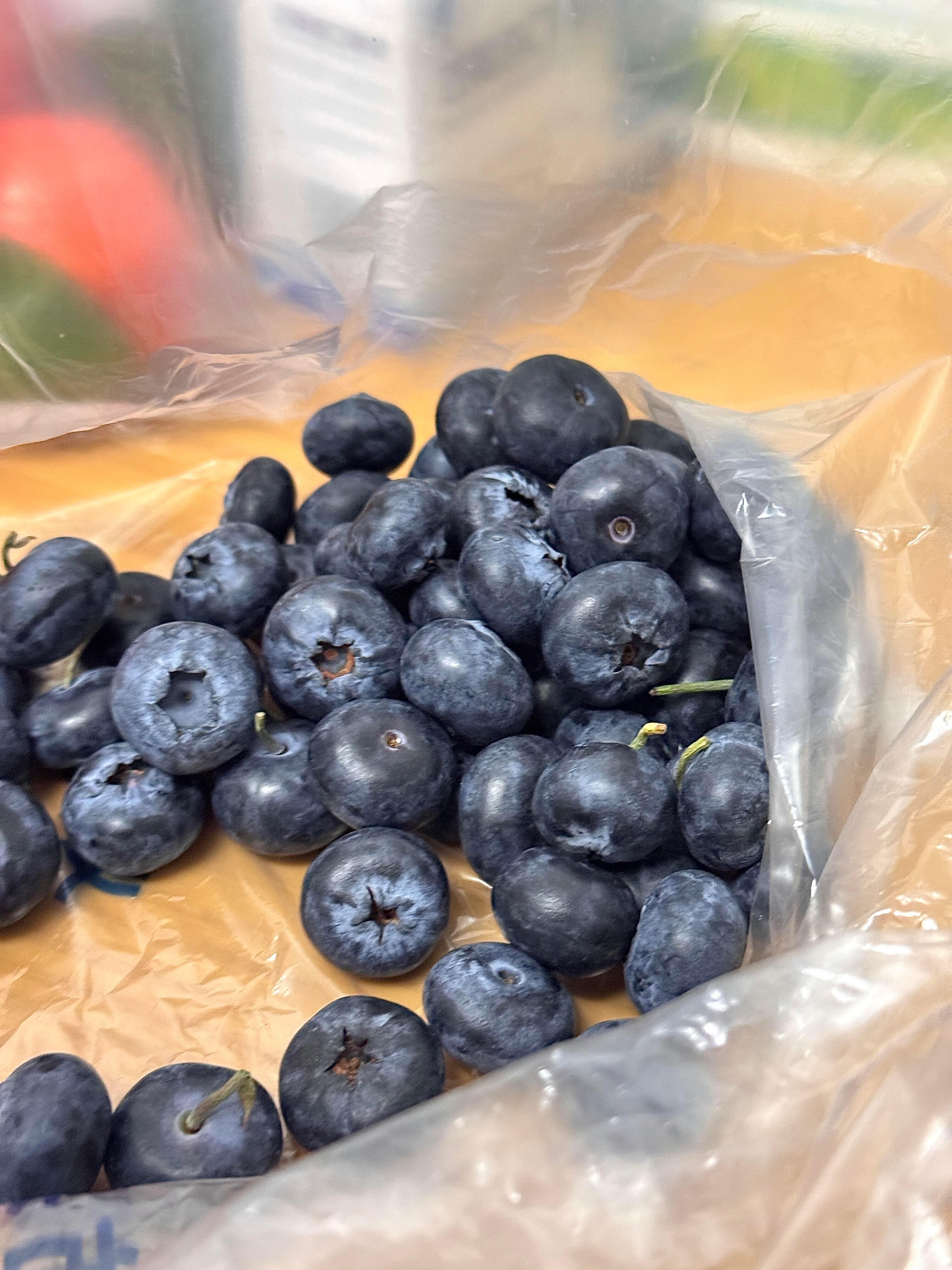 装一点色彩放进春天˗ˋˏ💐🪷🌷🌸🪻