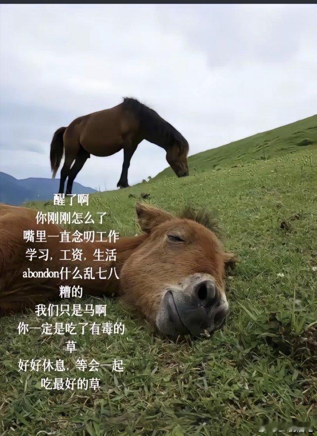 想当吃草的牛和马而不是当天天要回“收到”的牛马​​​