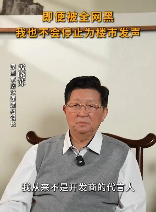 孟晓苏的“执念”：一个被骂4.6亿次的人，为何还在为中国楼市“守墓”？2025