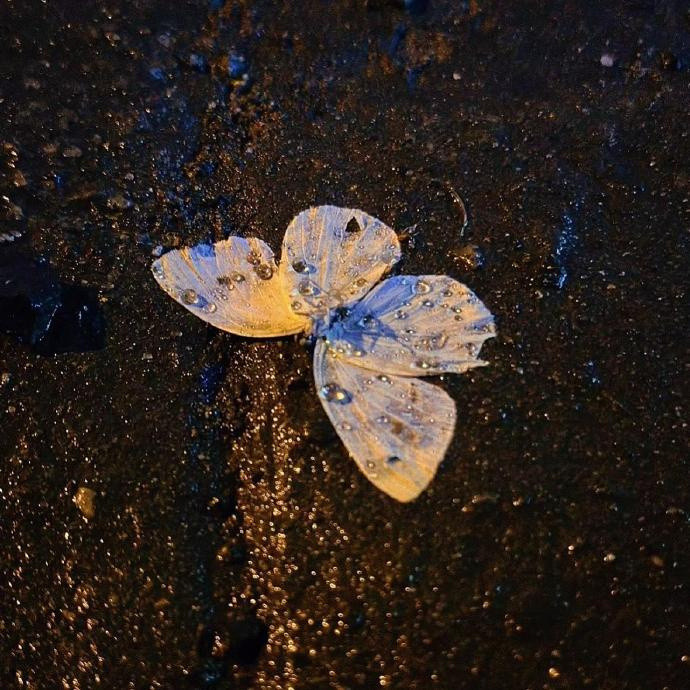 𝓔𝓃𝒿𝑜𝓎𝑒𝓋𝑒𝓇𝓎𝒹𝒶𝓎´͈ᵕ`͈“如果