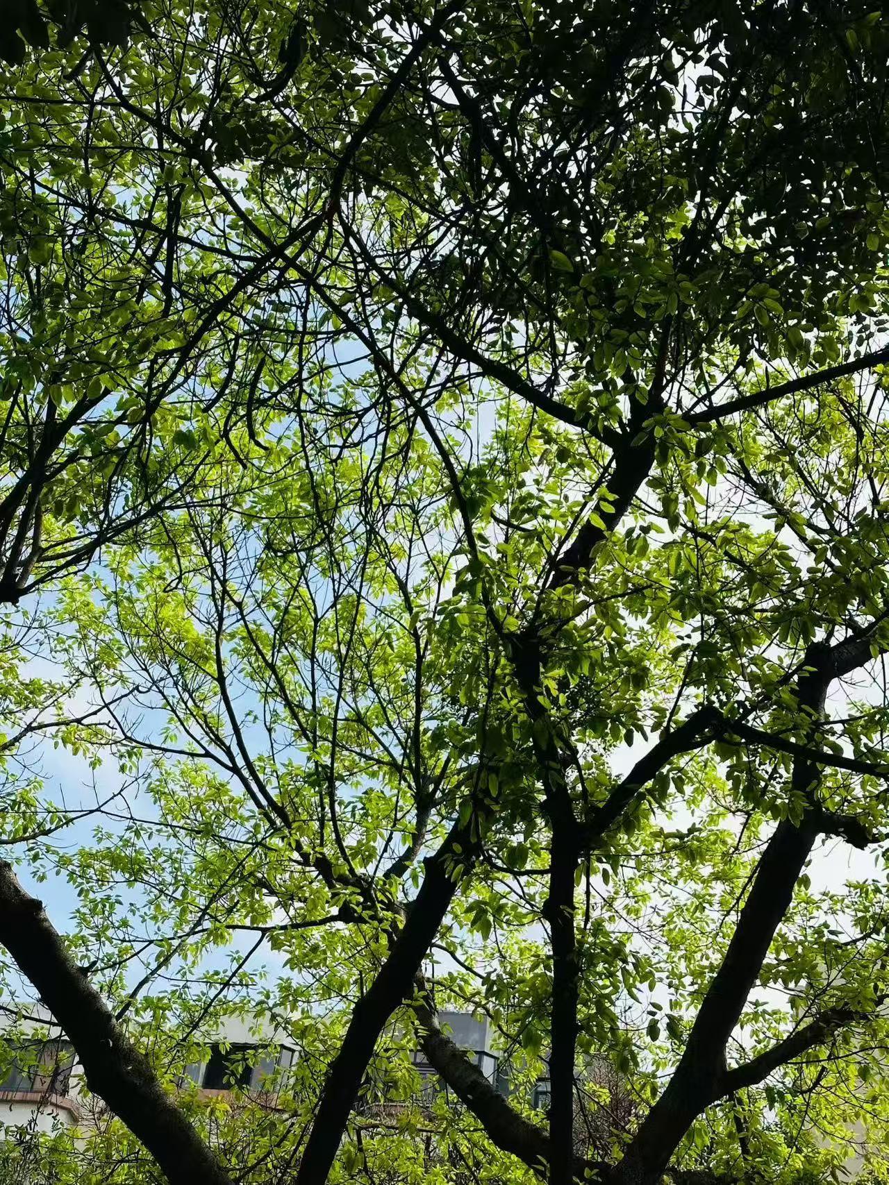 今年开始，我和姐姐再也没有给过母亲现金。家里三个孩子，从前我每月固定给母亲八百元