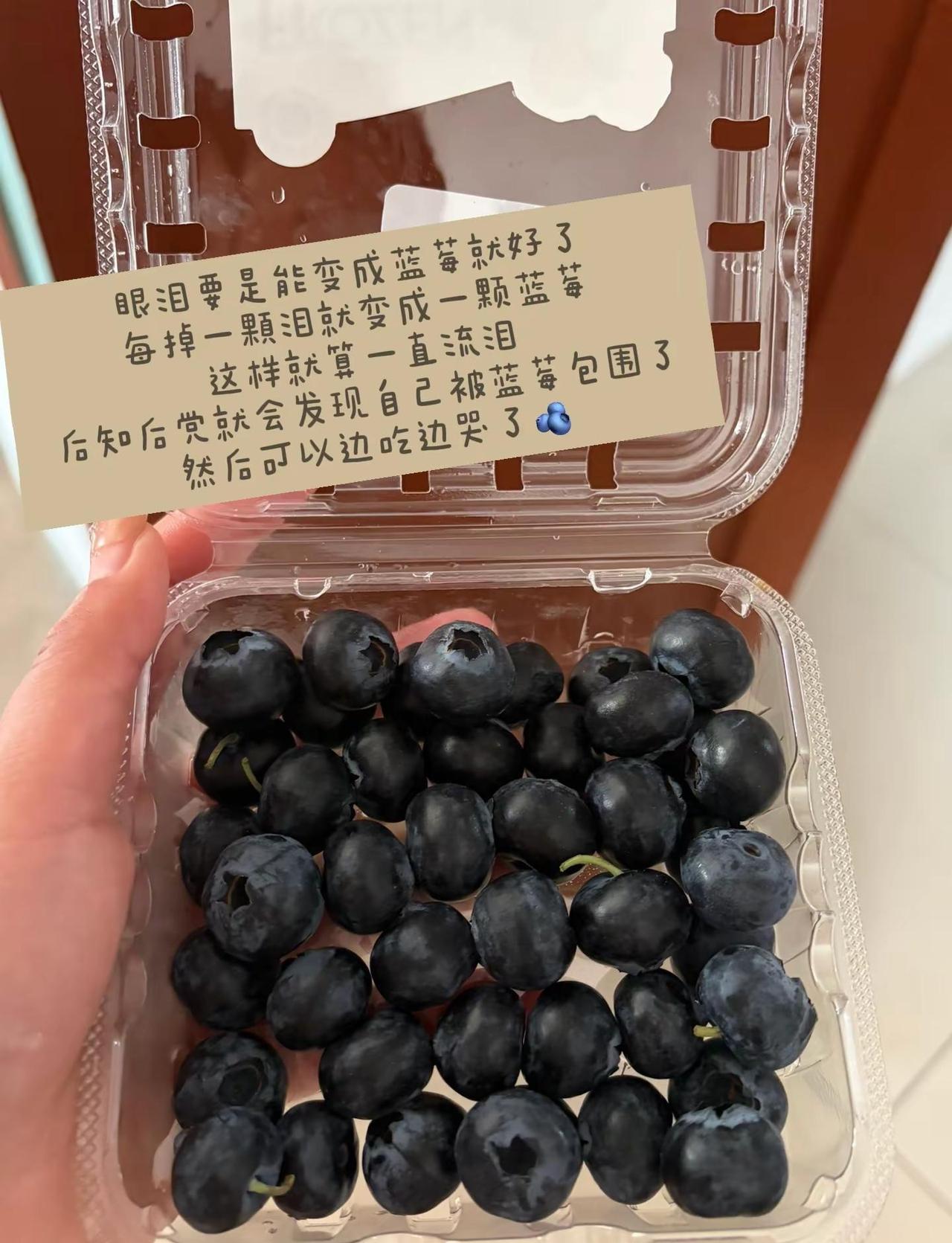如果蓝莓跟牛一样大就好了🫐蓝莓草莓🍓
