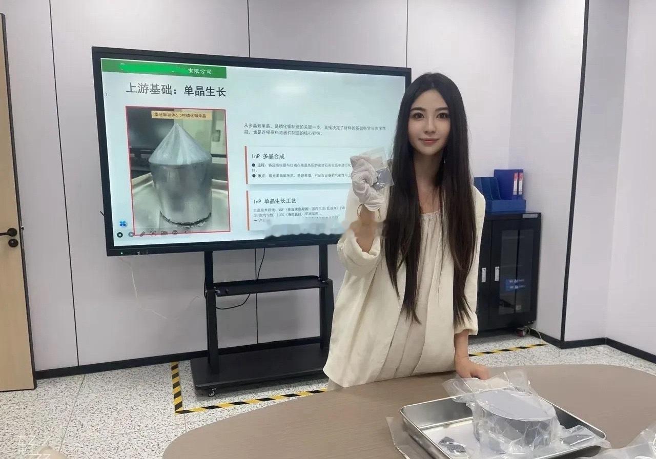 科技板块剧烈分化，逆势走强细分及核心标的整理本轮科技行情出现明显内部分歧，但不少