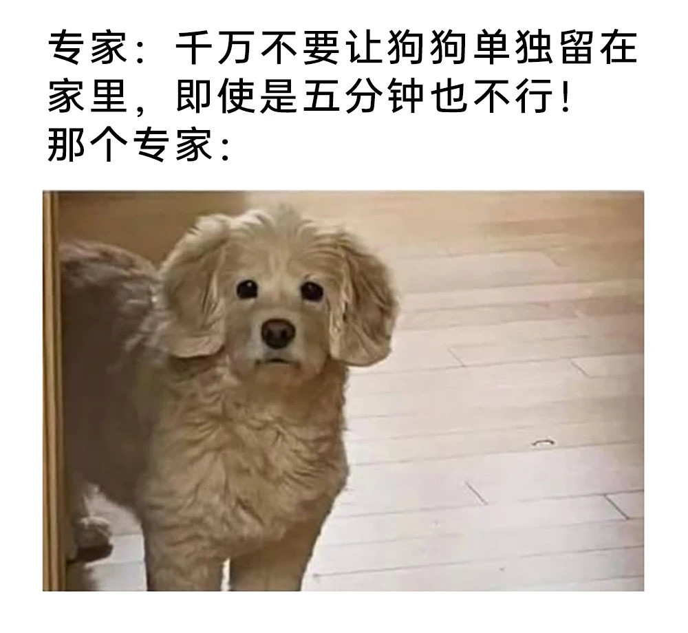 听专家的​​​