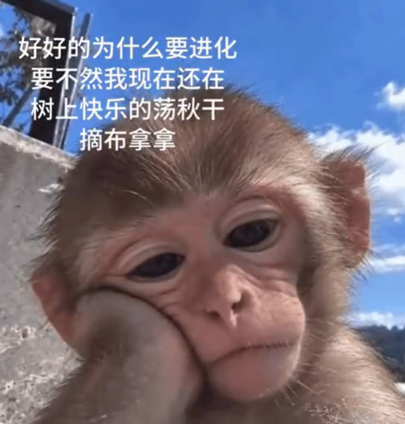 唉​​​