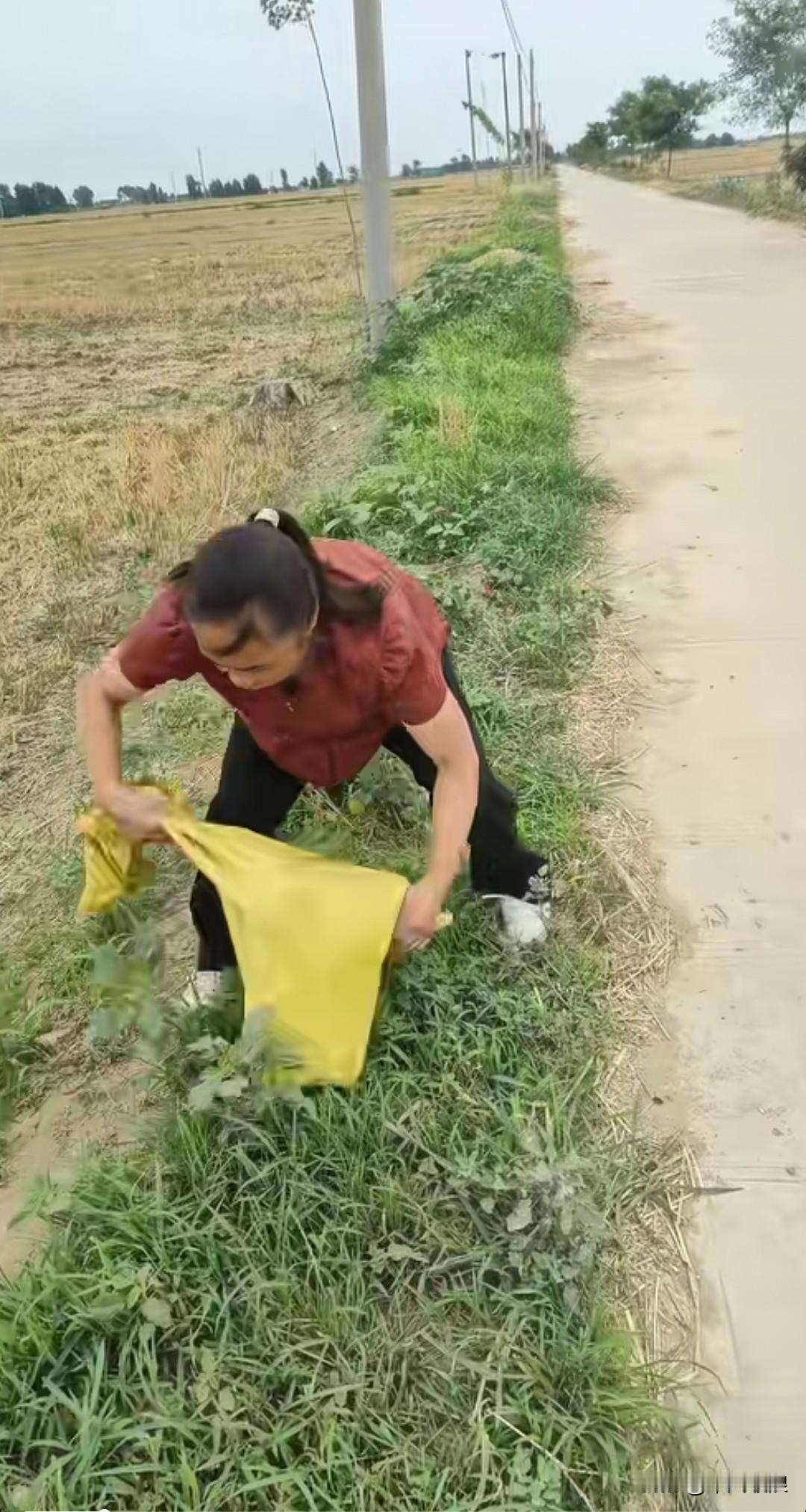 女主人心想，把小奶狗装进蛇皮袋，让它看不到来时的路线，它就找不到回家的路了。于是