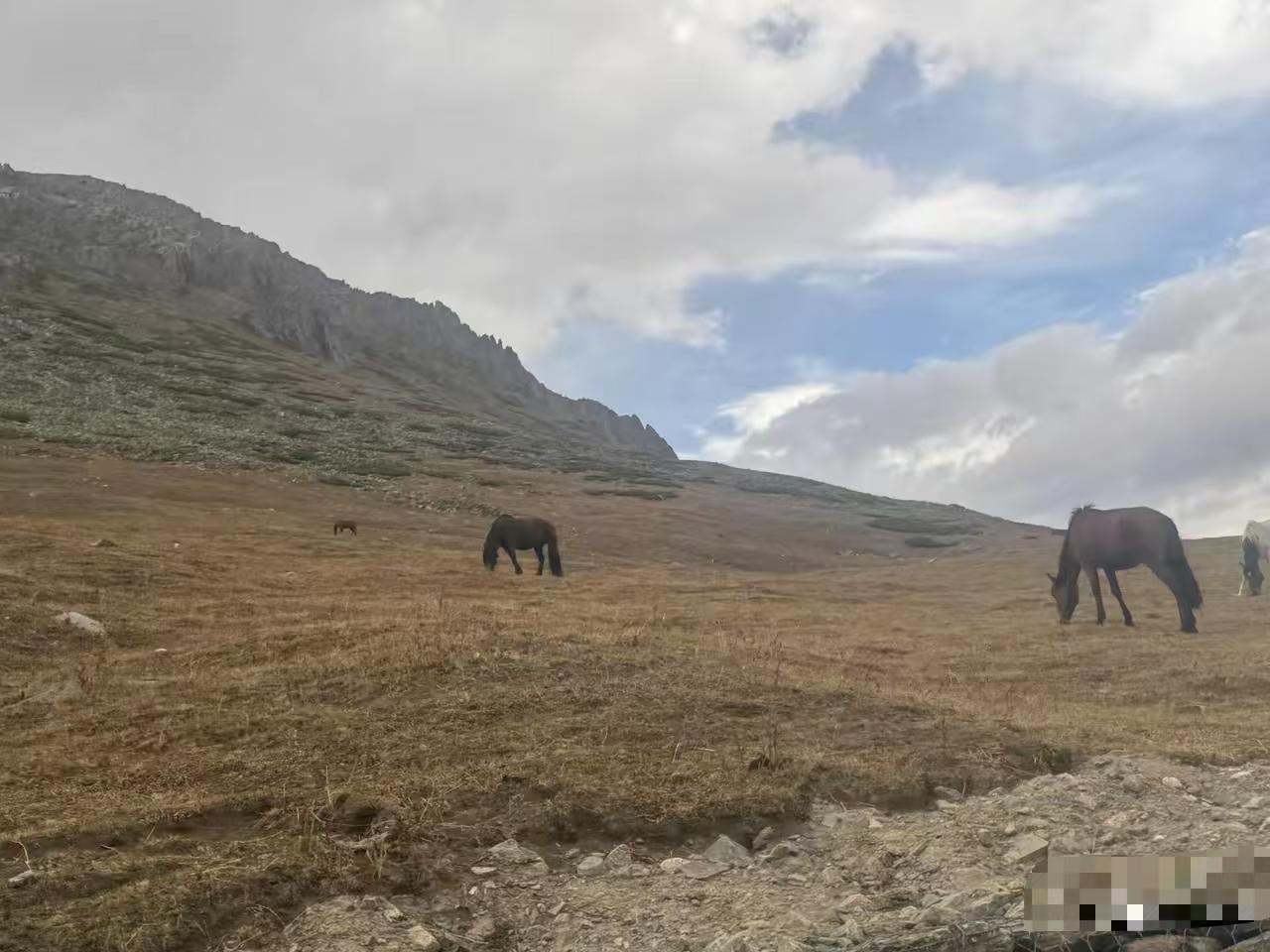 看到一个报道，2025年相亲市场男女比例达到1:92。确实是这样，很多男人都不愿