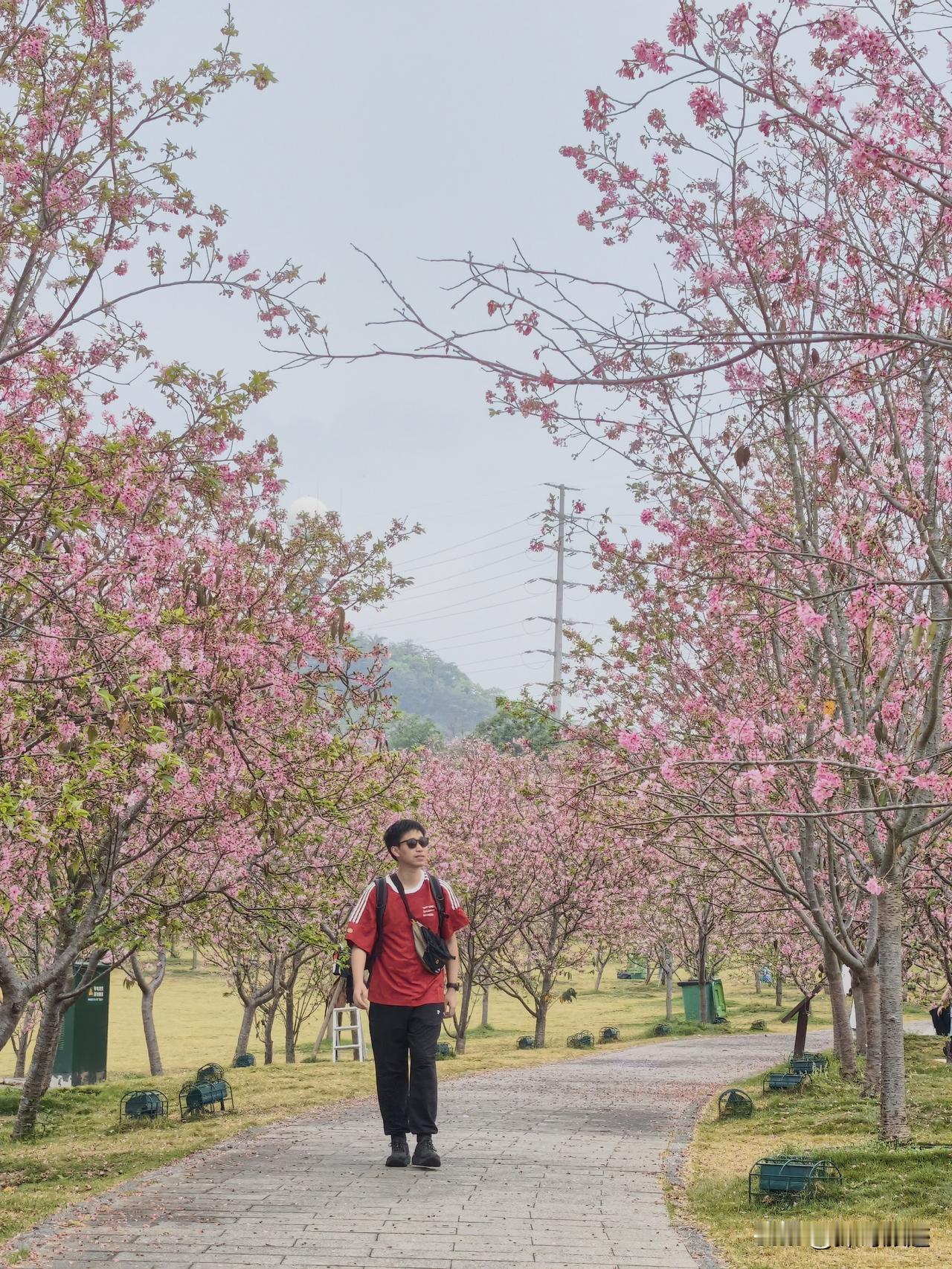 南宁青秀山3-4月春日打卡攻略🌸错过再等一年！南宁的春天全藏在青秀山了！