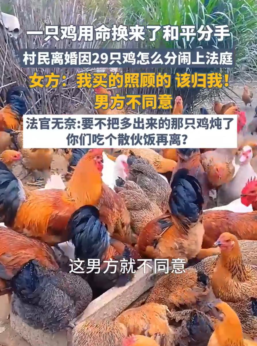 奇葩！四川广安，一对夫妻闹离婚，可别人是争房产，争孩子，两个人却因为29只鸡怎么