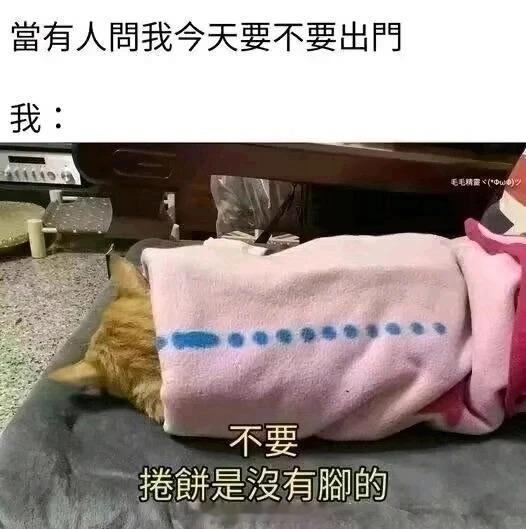 回答我！lookingmyeyes！！！今日memes梗图搞笑表情包