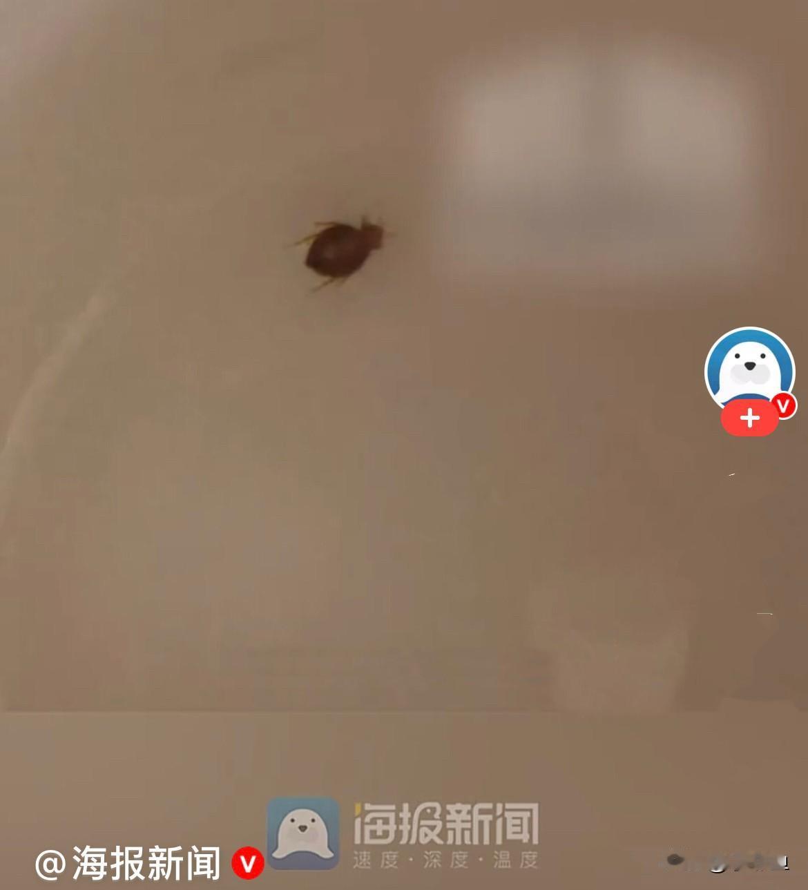 近日，辽宁大连的邓先生和同事到上海出差谈重要项目，奔波劳累一整天，满心疲惫入住
