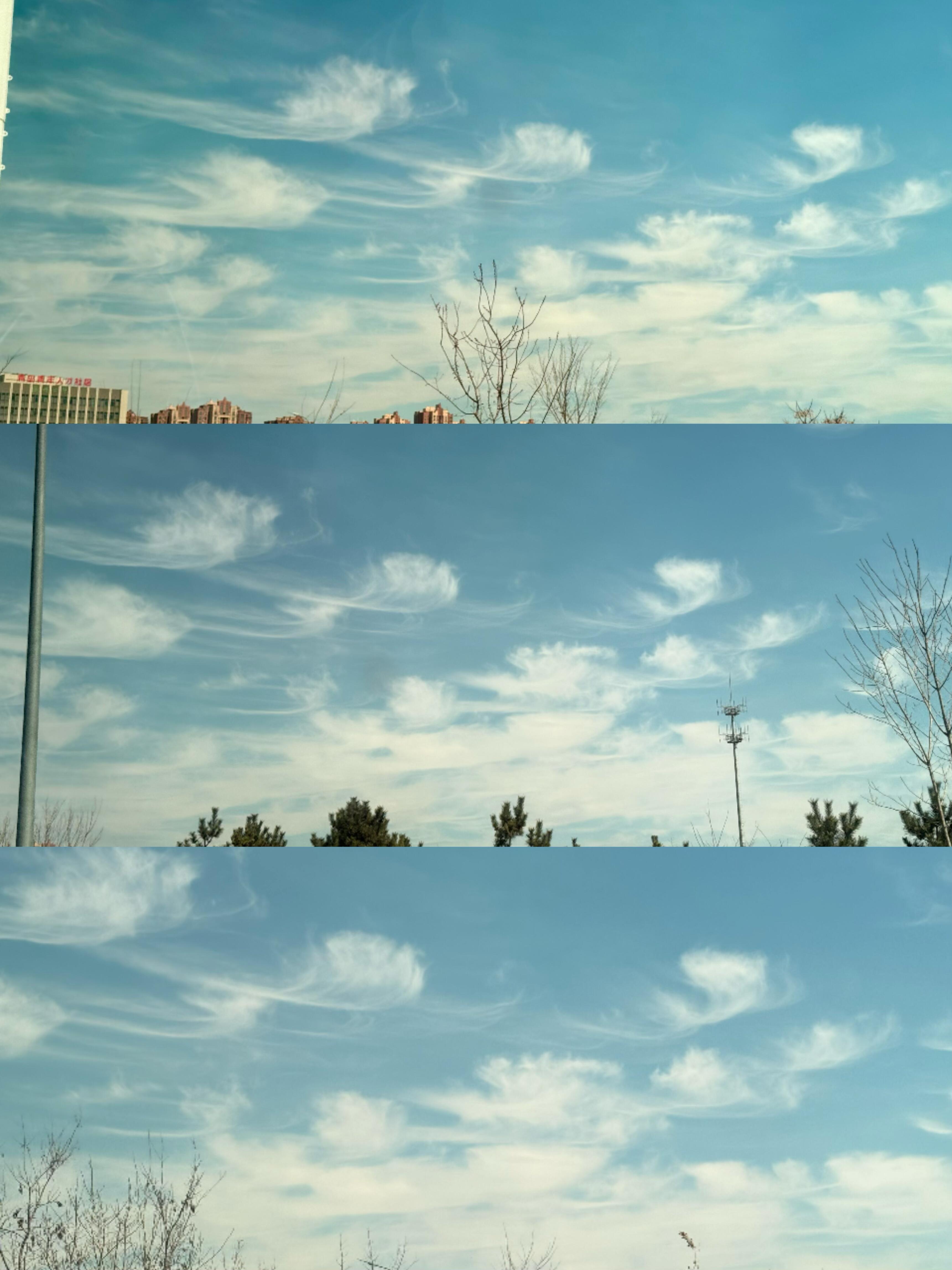 原来老祖宗的云纹是写实不是写意啊