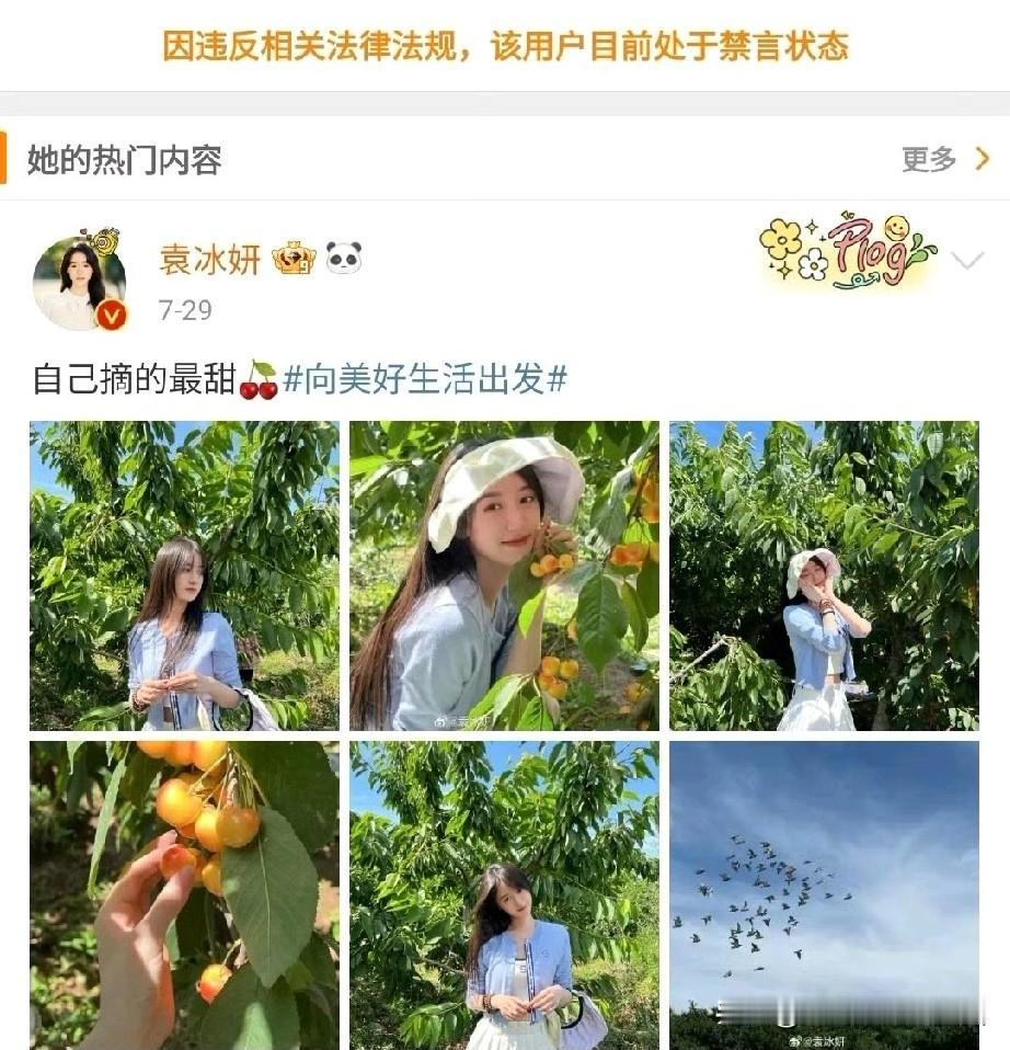 这两天关于袁冰妍账号解禁，她有可能回归内娱的消息，在微博悄悄传开。看了下，账