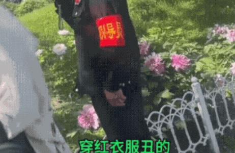 两个大妈到牡丹花园里拍照，花园管理人员举着喇叭喊：穿红衣服那丑的老娘们，谁家老娘