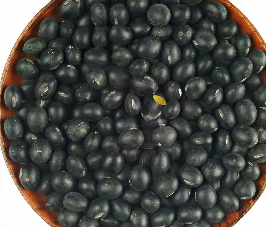 黑豆立大功！医生发现：黑豆可能对这3种慢性病有好处！可以常吃黑豆立大功！医生