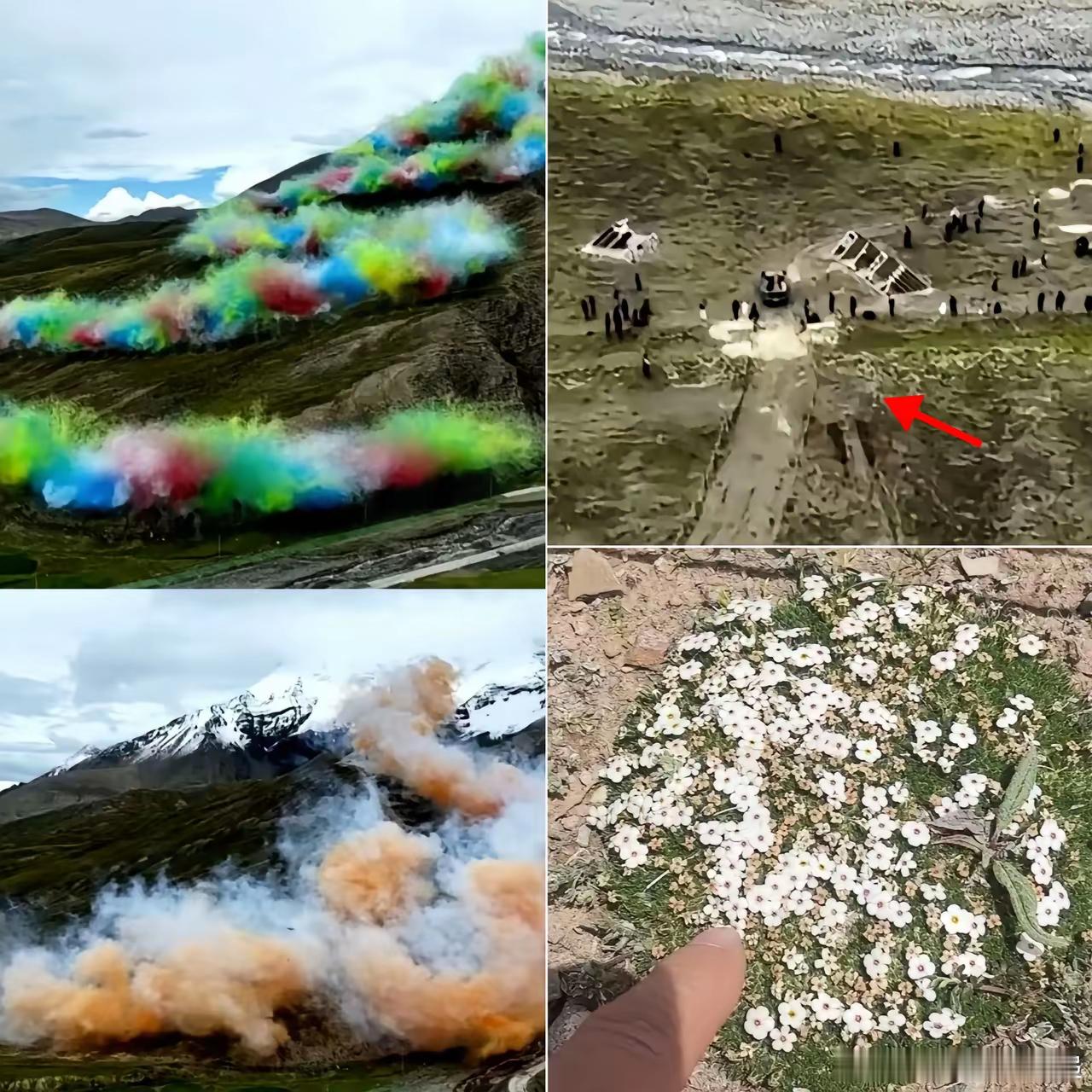 始祖鸟的烟花危害有多大？看下面的图就知道了！​可不是放完烟花拍拍屁股就完事了，为