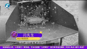 防不胜防!10月27日报道,河南商丘,一女子在家里干农活打玉米,谁知却突然开始头