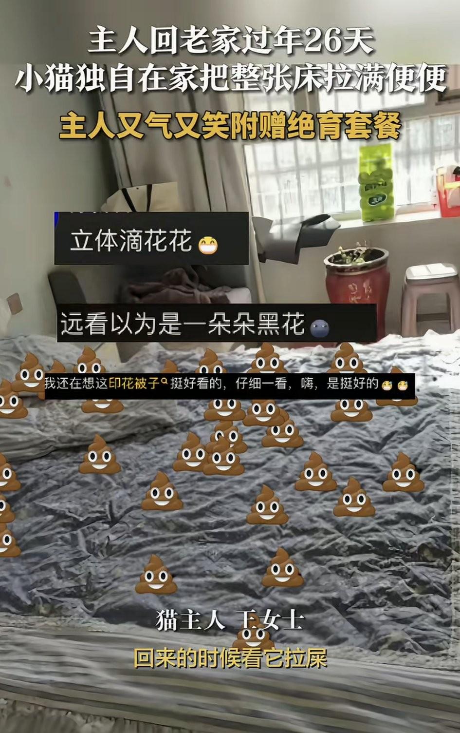 新疆和田，一女子将猫留在家中守屋，独自一人回老家过年26天。起初女子返程归来的路