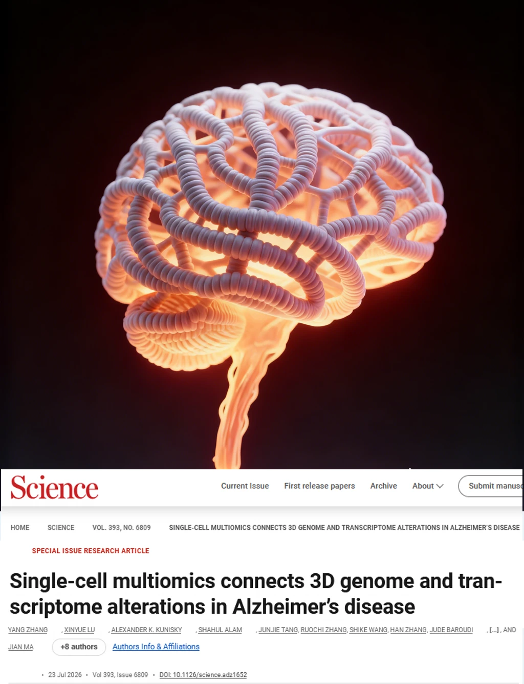 Science重磅-AD脑细胞基因组3D发生重大改变