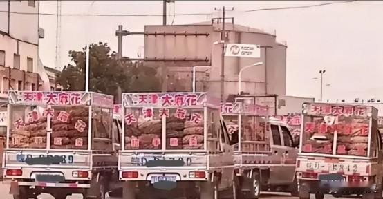 2000年，神秘组织“天津大麻花”，明明没人买却走遍全国，如今才彻底明白，里面竟