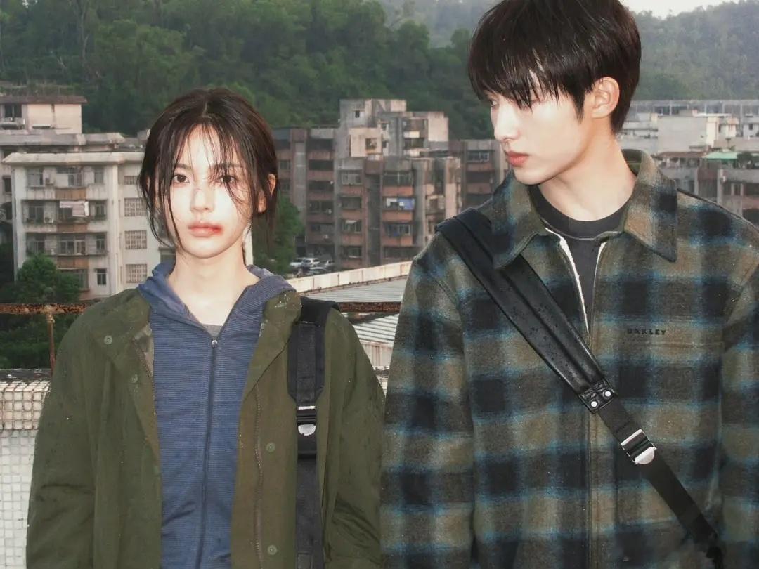 明年播的部分现偶，这几张图看上去都好不错啊，这次我是真有预感