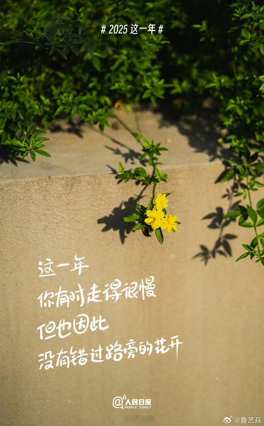 【2025这一年你过得怎么样】2025这一年请谢谢自己2026新年祝福这一年，