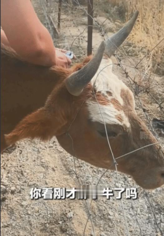 这一幕看得人心都揪紧了！新疆阿勒泰，一对男女开着房车自驾，路过草地时，突然发现一
