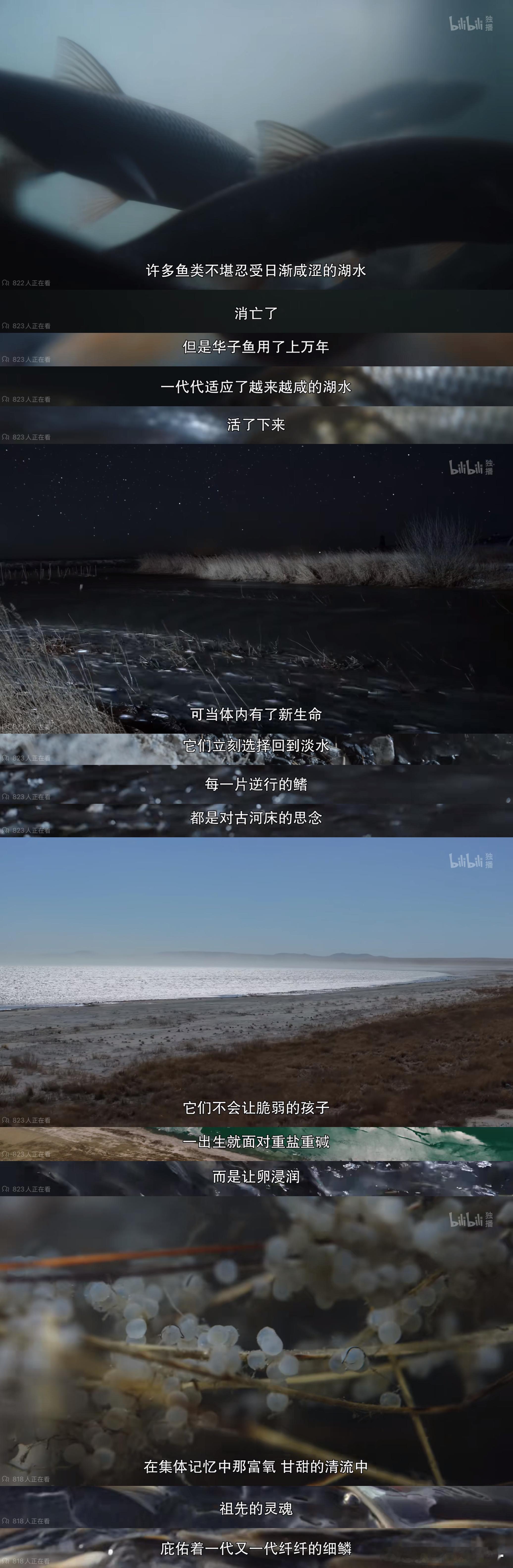 生命奇观2看完了🥹地球太大，而我太小​​​