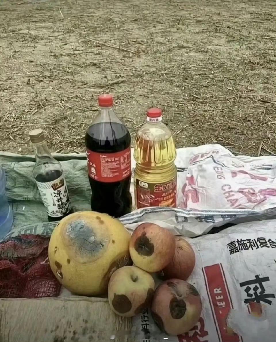 跟女神约好露营，照片发给她等了一下午还没来，急死了🙄​​​​