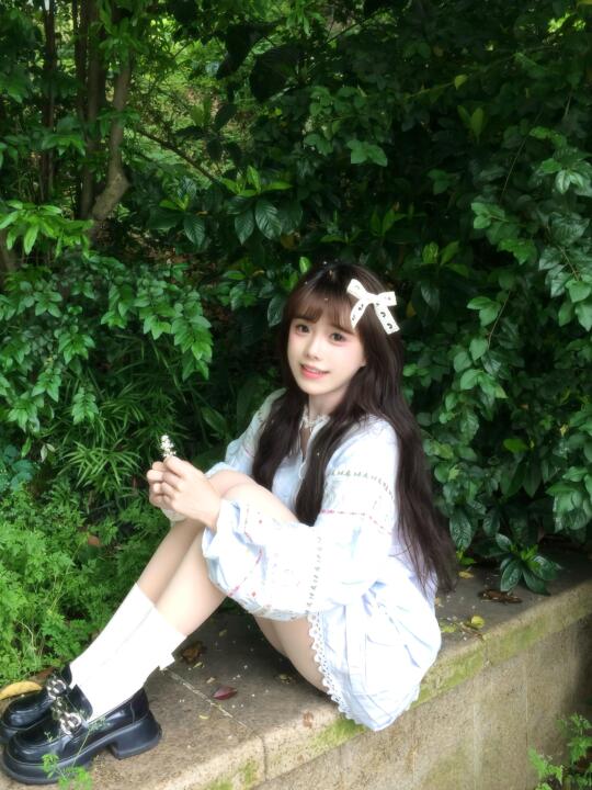 树下 我是我的春天 🍃