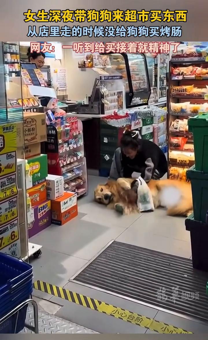 女生深夜带狗狗来超市买东西，从店里走的时候没给狗狗买烤肠。网友：一听到给买接着就